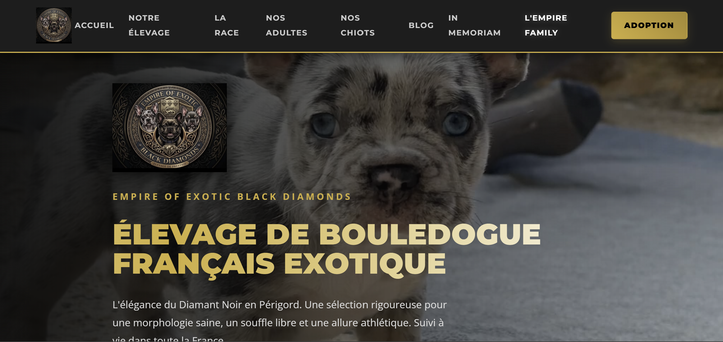 Élevage Empire of Exotic Black Diamonds - Bouledogue Français Exotique