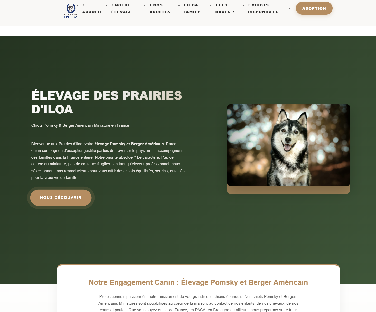 Logo Élevage des Prairies d'Iloa