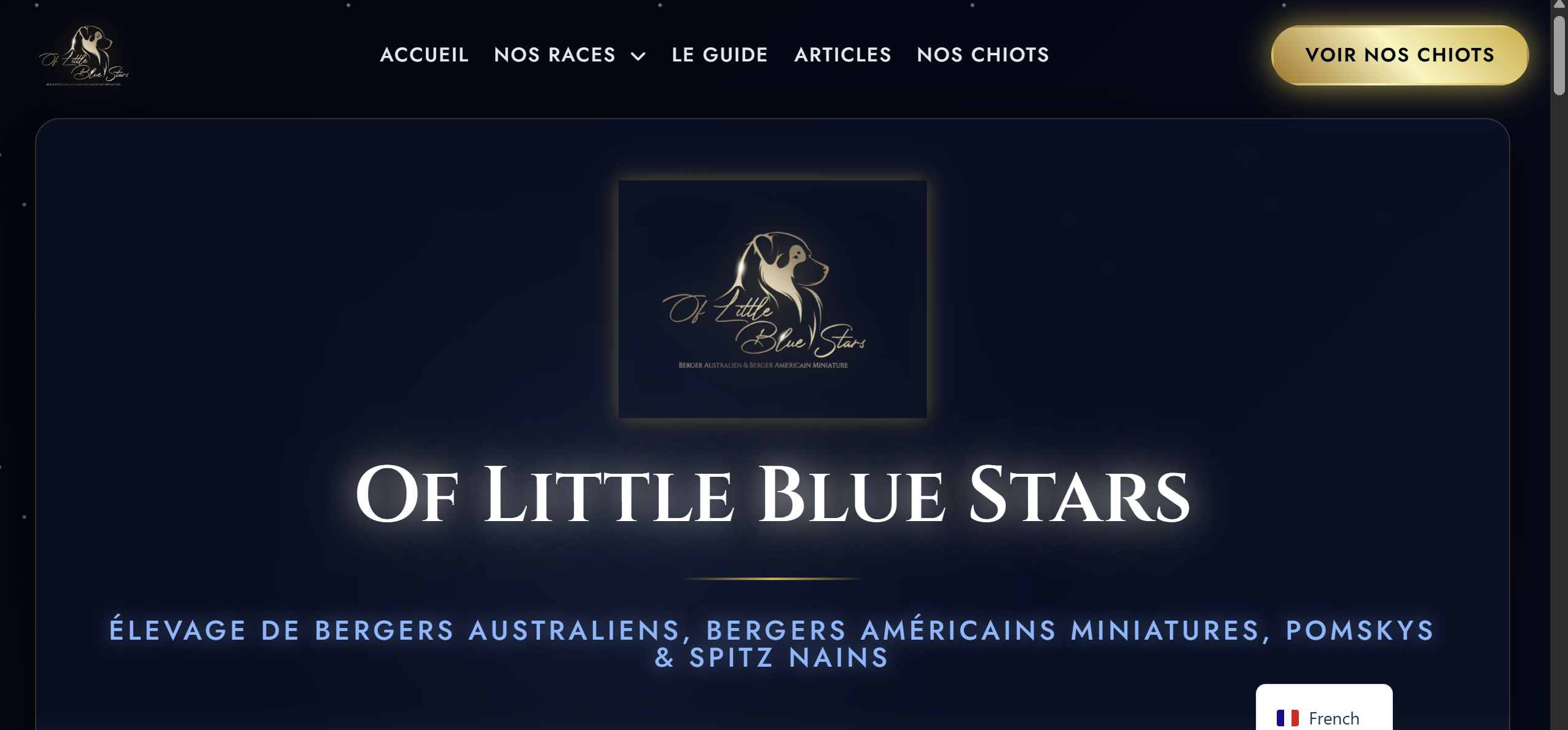 Logo Élevage Of Little Blue Stars