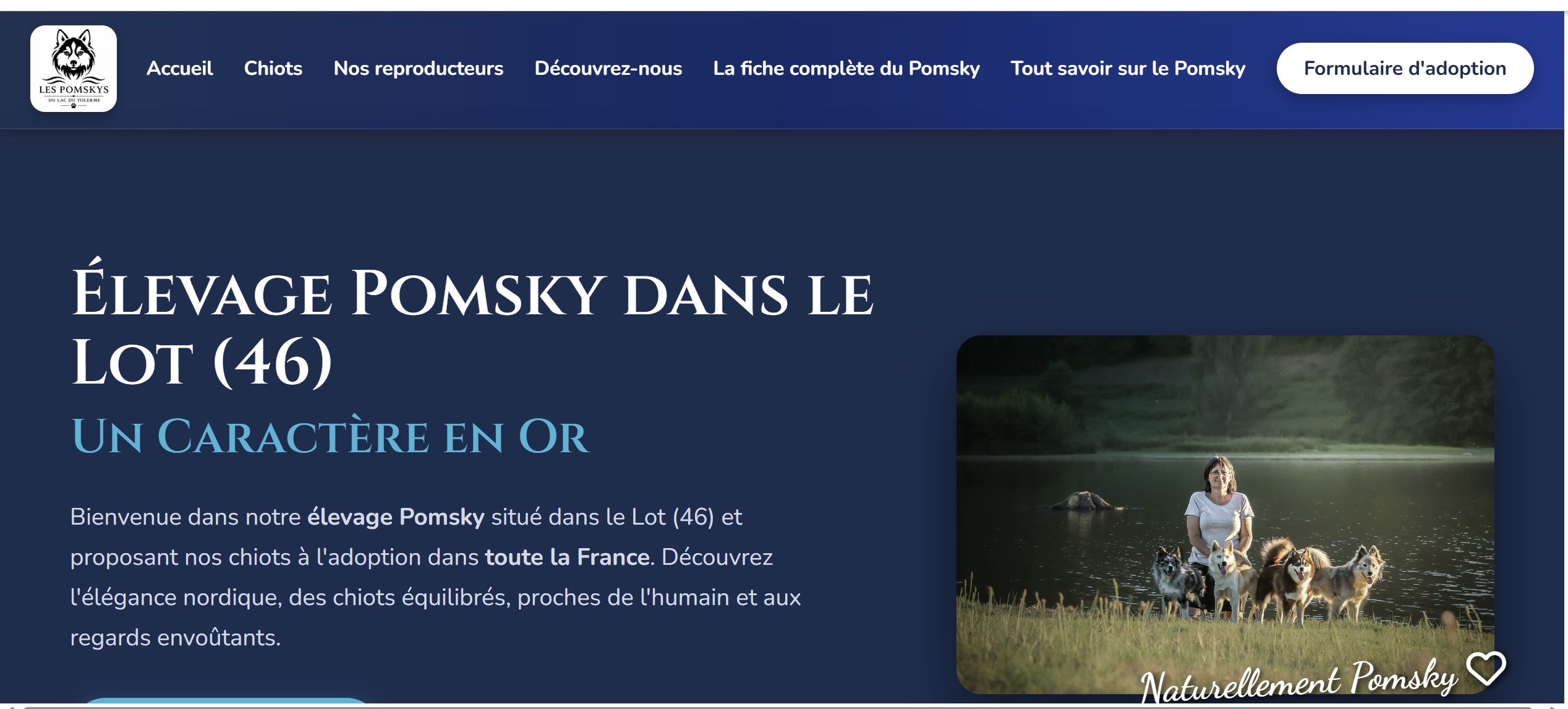 Logo Officiel Élevage Pomsky Tolerme